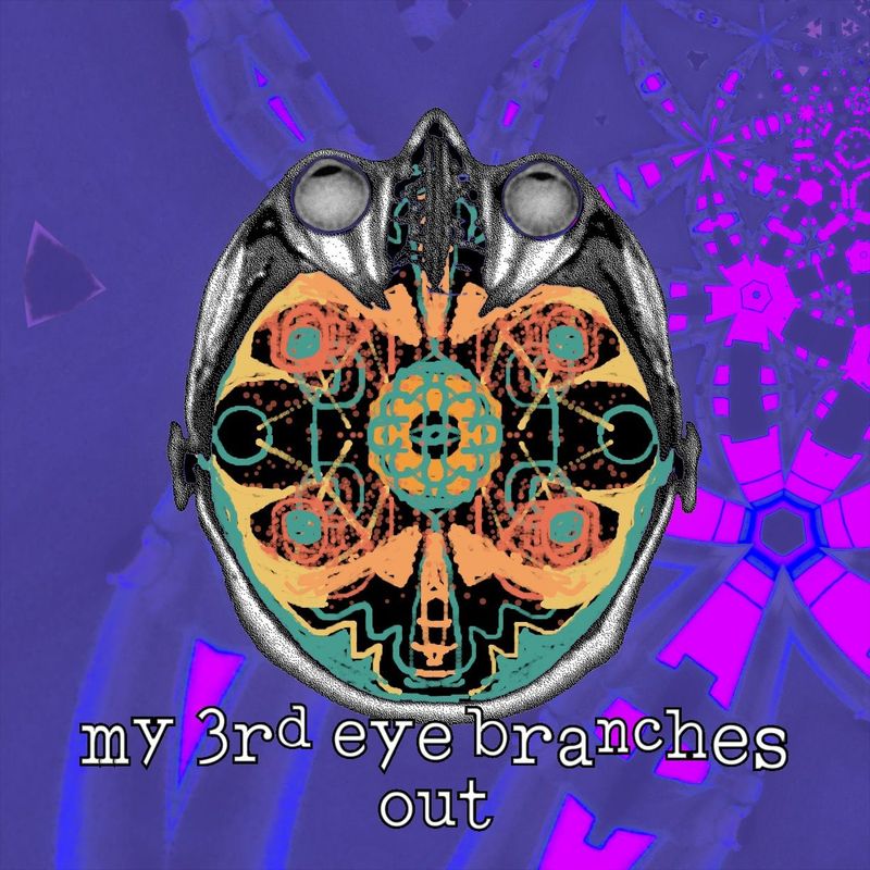 my 3rd eye branches out