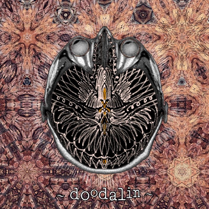 ~ doodalin ~
