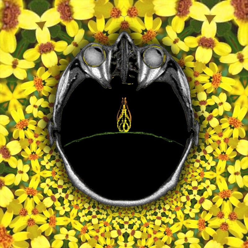 out with the old old
in with the new old