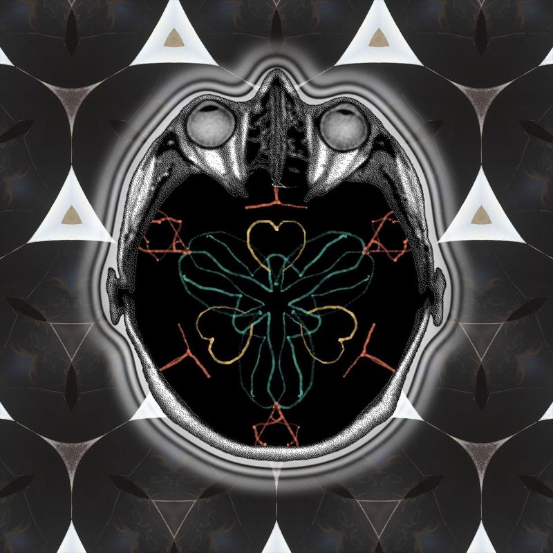 There's been a breakthrough!!!!