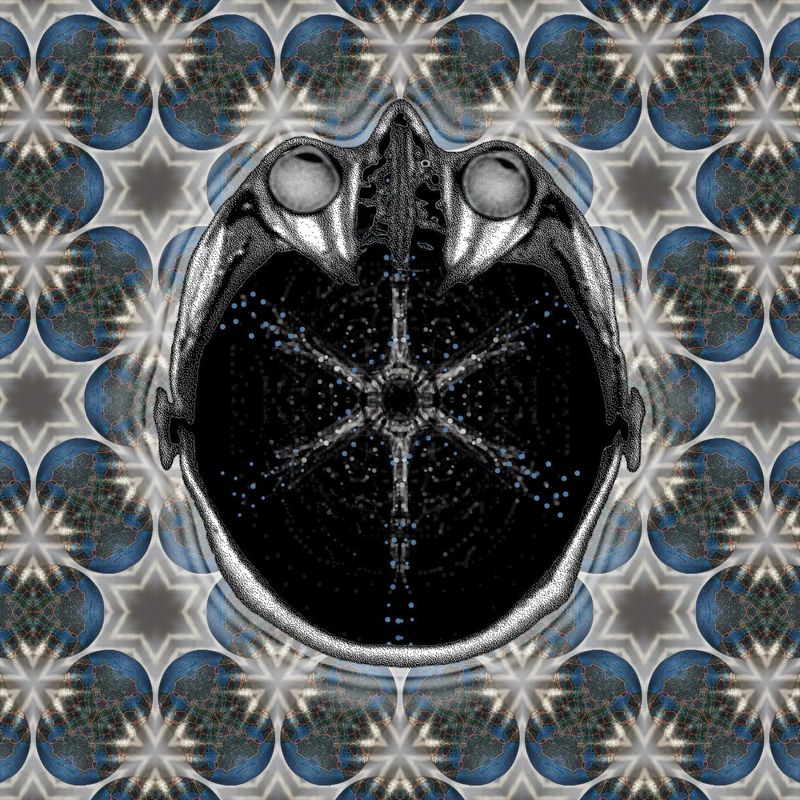 i don't know anymore