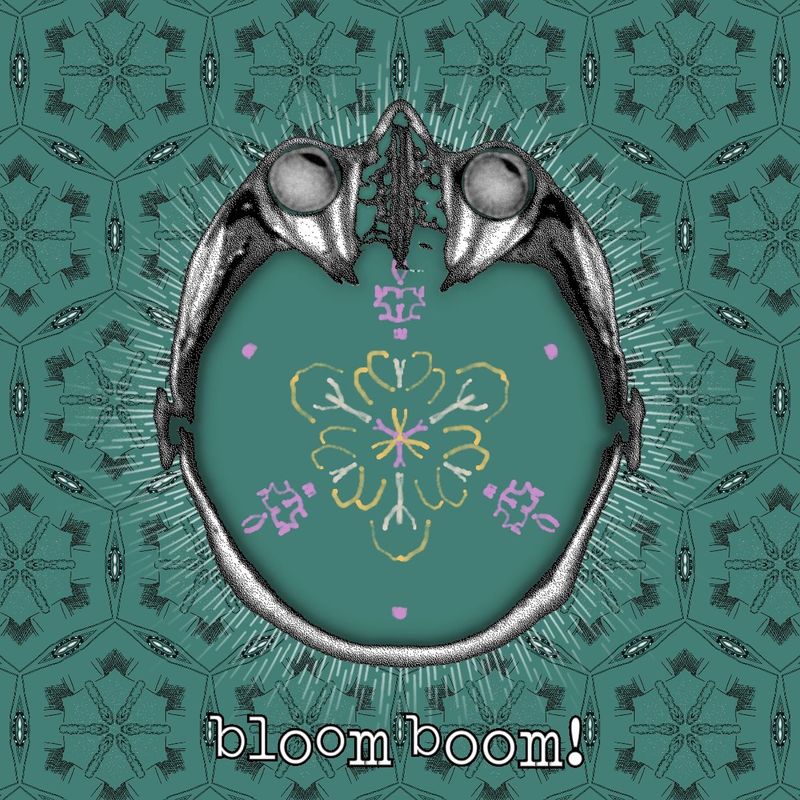 bloom boom!