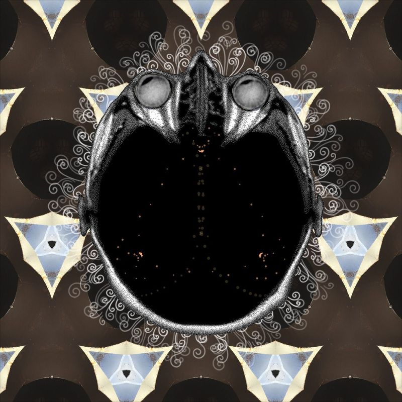 I'm a human being wink wink