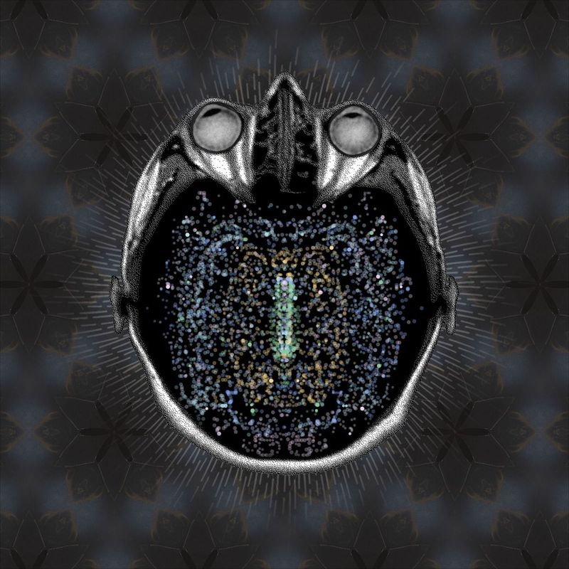 Freedom
Confidence
Courage