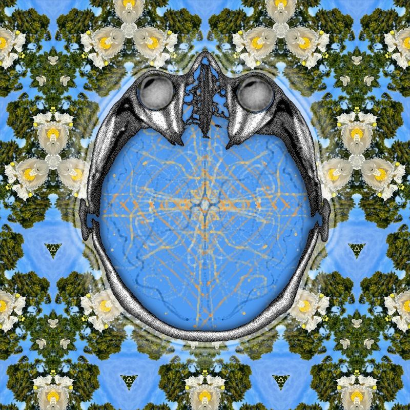 floating down the river