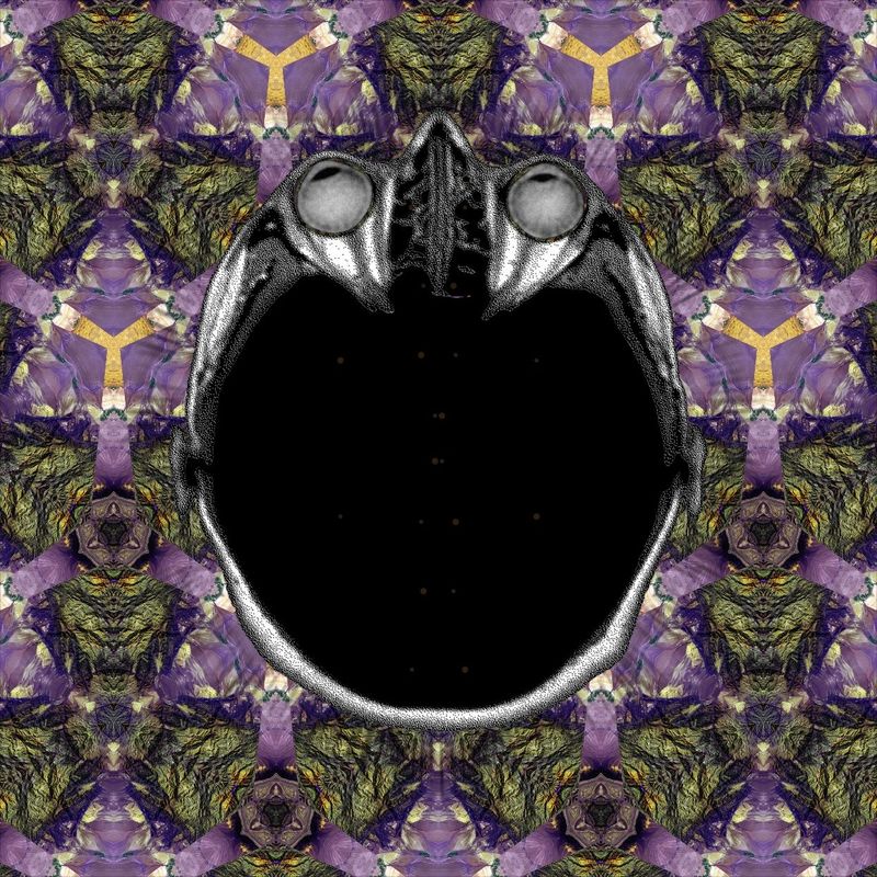 Be kind
Have fun
Dream big