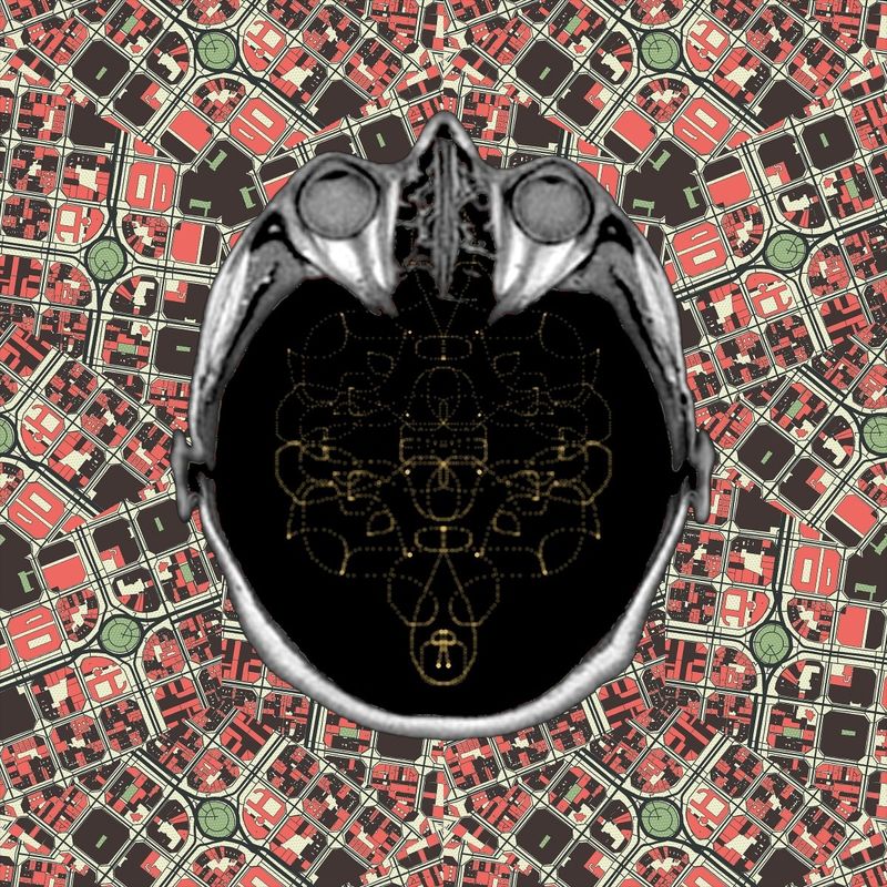 Do my words deceive me?