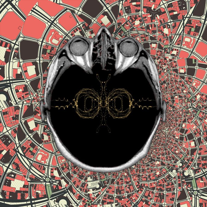 woowoo - i changed the question type... will it break?