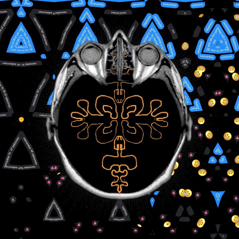 rational in the game
irrational in love