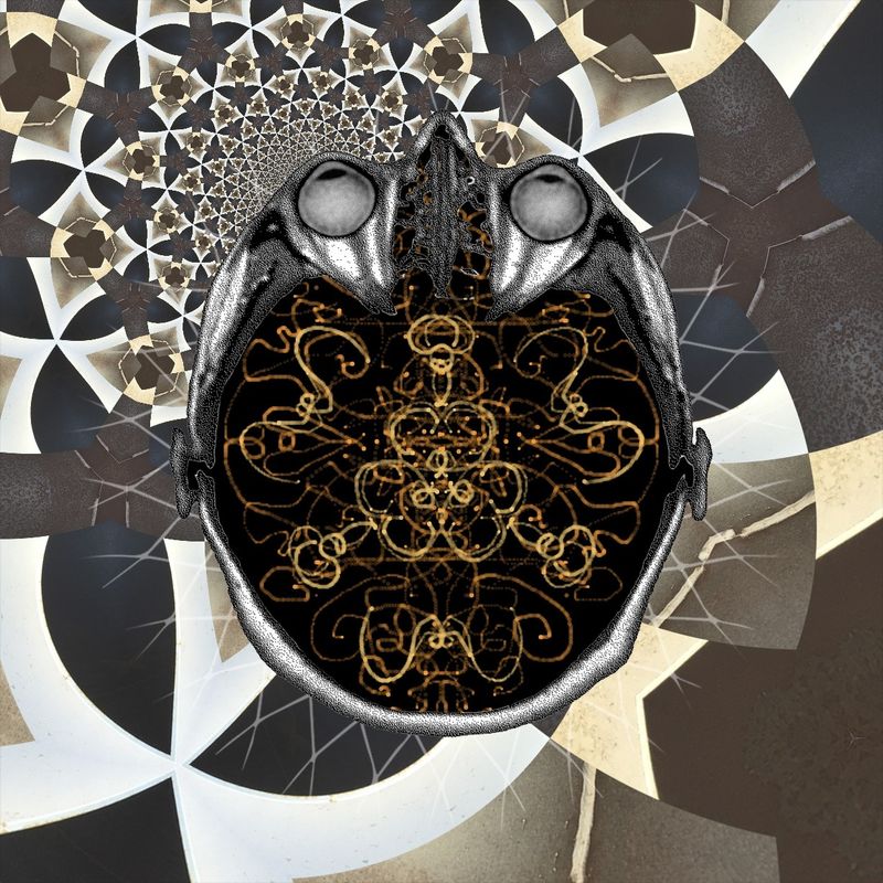 Sleep now and dream of hand drawn flowers