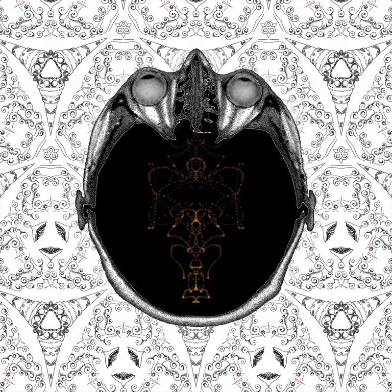 love & acceptance, always