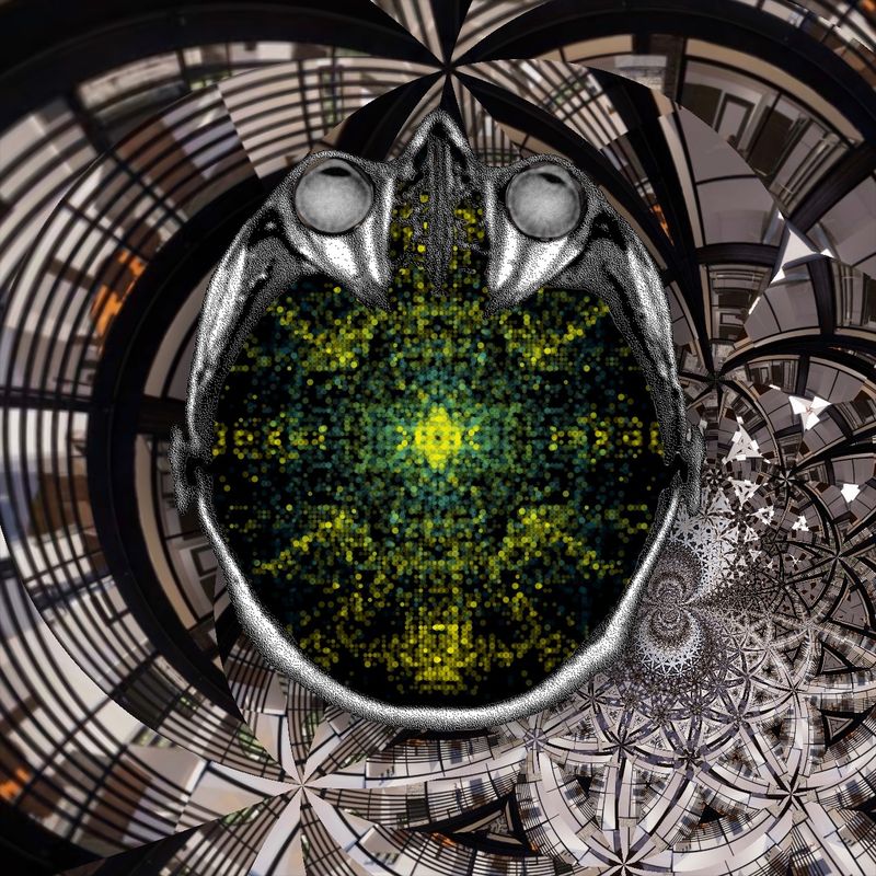 We all need a place to call home