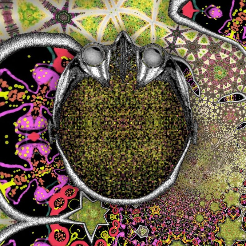 We are all starfish finding our lost limbs