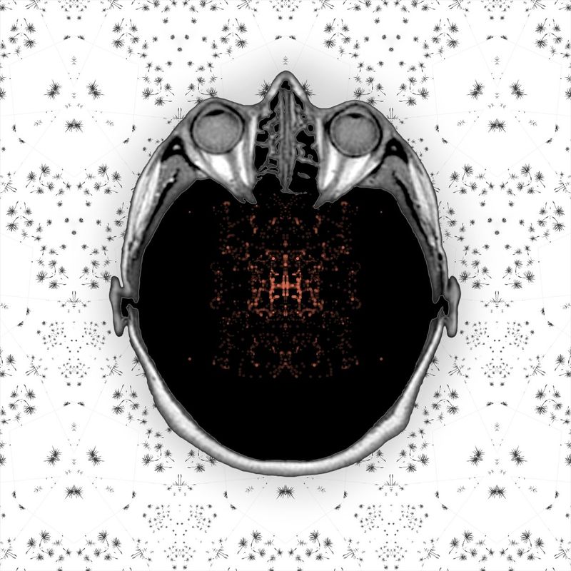 ok another test - i deleted a question