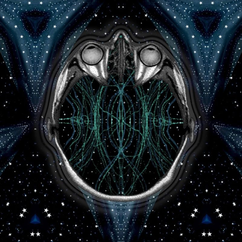 must be the stars in my eyes