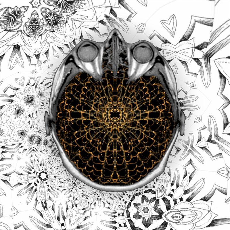 my first words - were drawings