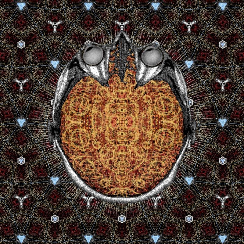 rock 'n roil will never die?