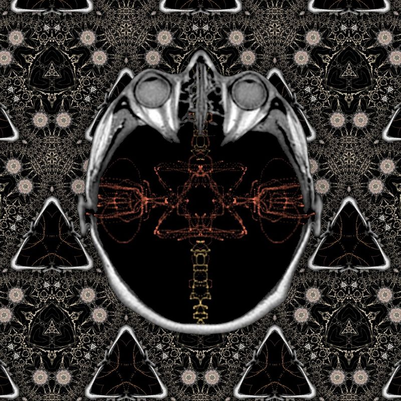 ok lets see if i can add ingredients to the cake batter