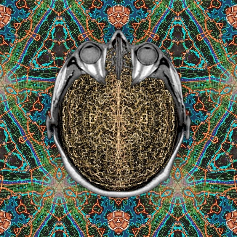 careful what you wish for?