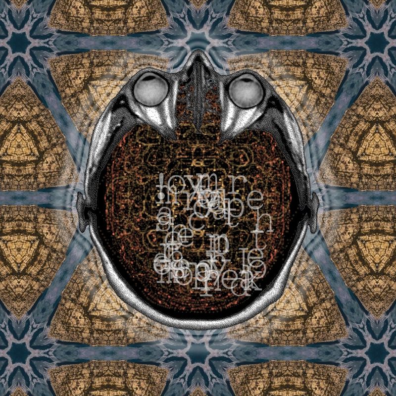 random words that come from my head -oh look - they appear as I type!