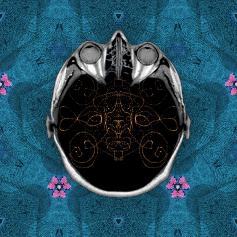 Adrift in the ocean in a barrel I float like a leaf on the water