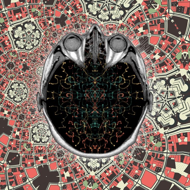 so long and thanks for all the fish!