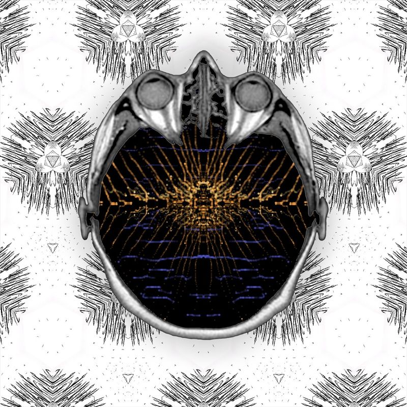 smoke on the water - fire in the sky