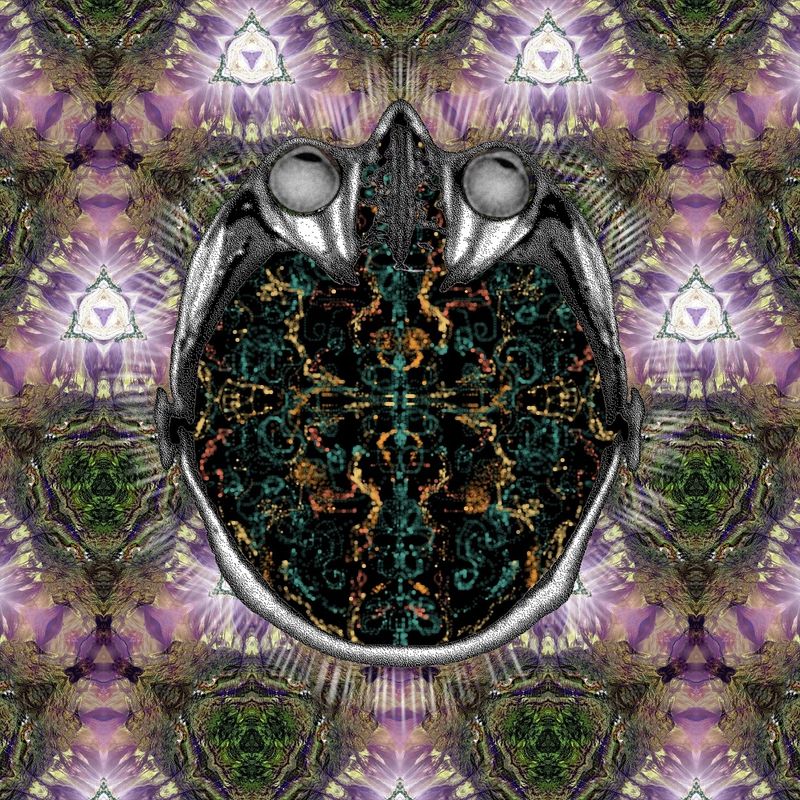 live every day as if it were your last