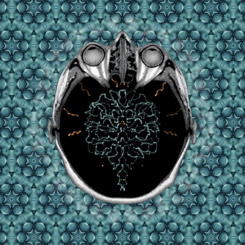 so what if I dance? It's a revolution.