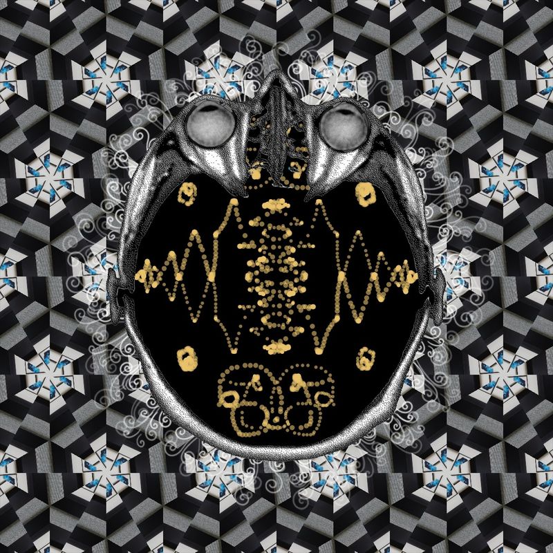 don't tread on my dreams