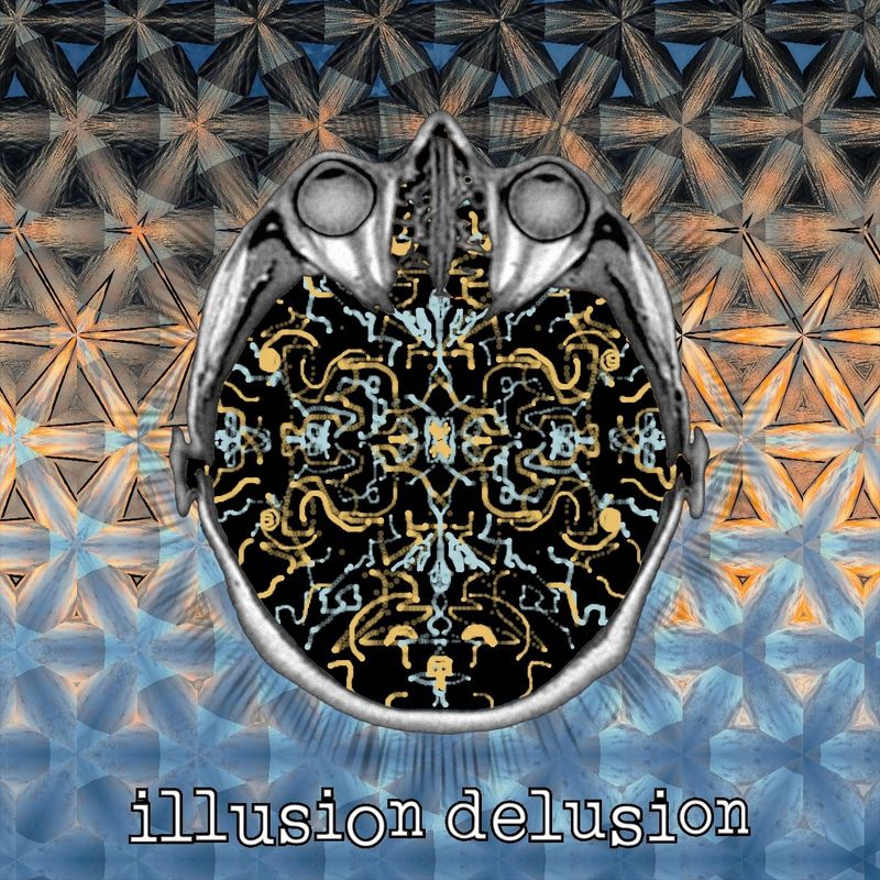 illusion delusion