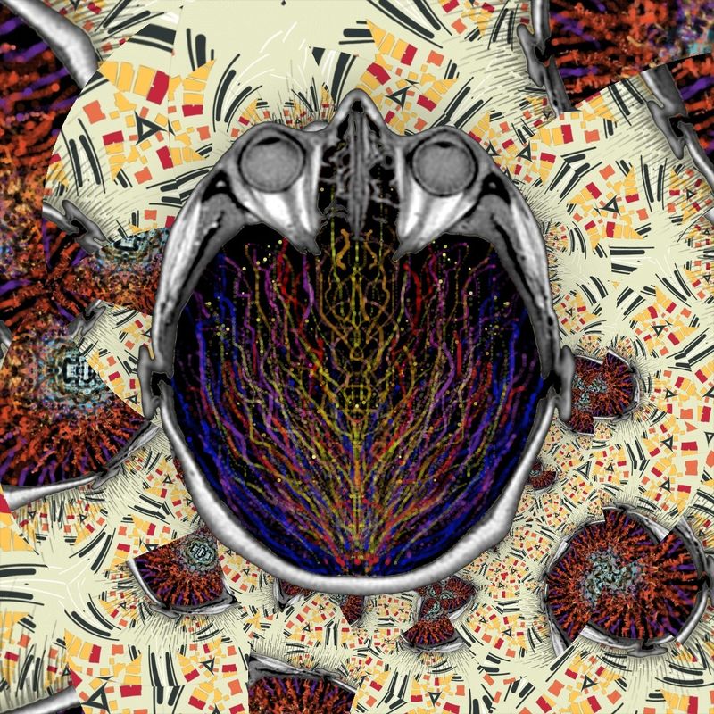 my life in the bush of ghosts