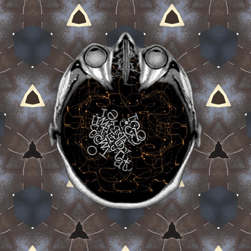 You're about to land and all the city lights are twinkling below.