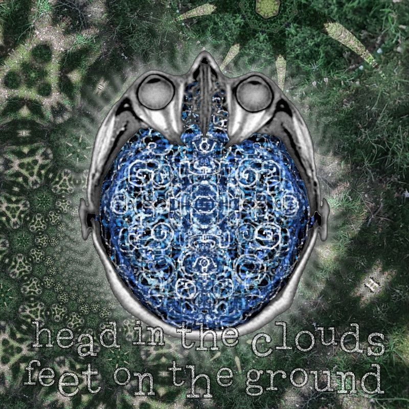 head in the clouds
feet on the ground