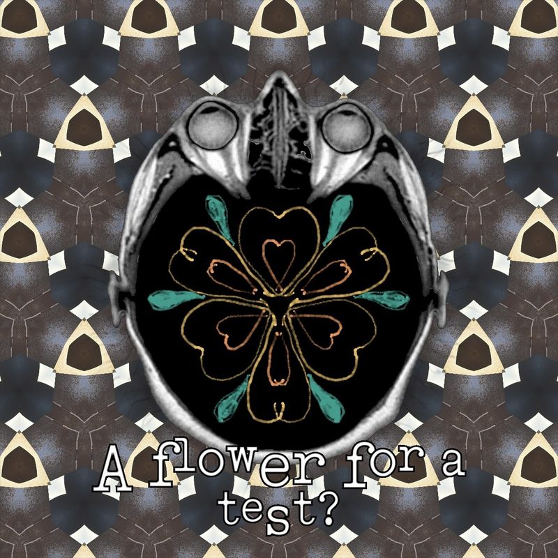 A flower for a test?