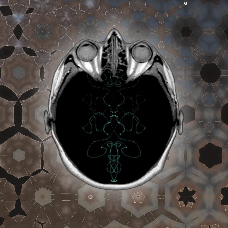 created with an ipad!!!!