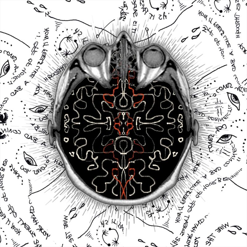 The Public Collection