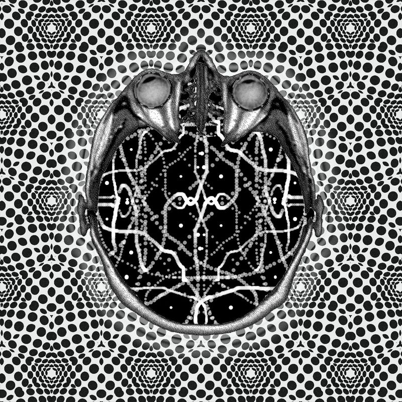 as above, so below
- as within, so without