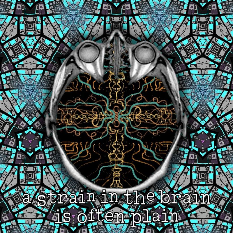 a strain in the brain is often plain