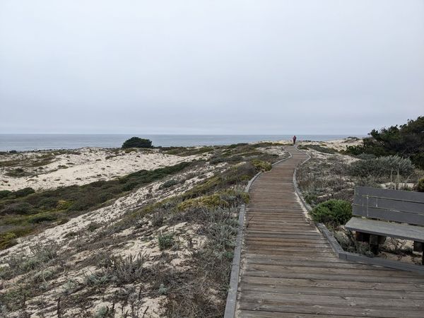 Object Storage and In-Process Databases are Changing Distributed Systems