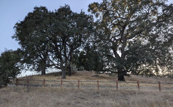 Making Unsafe Rust a Little Safer: Find Memory Errors in Production with GWP-ASan