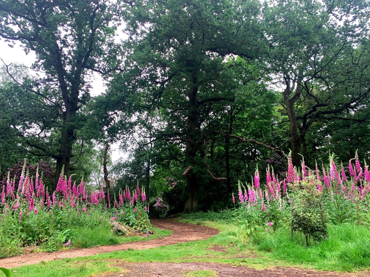 Sheringham Park and beyond