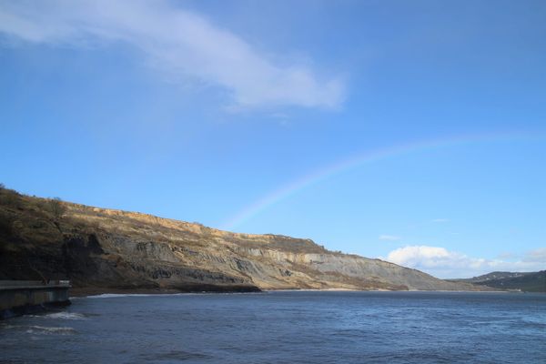 Jurassic Action in Lyme Regis