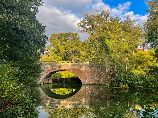 Take a break at Windsor Great Park