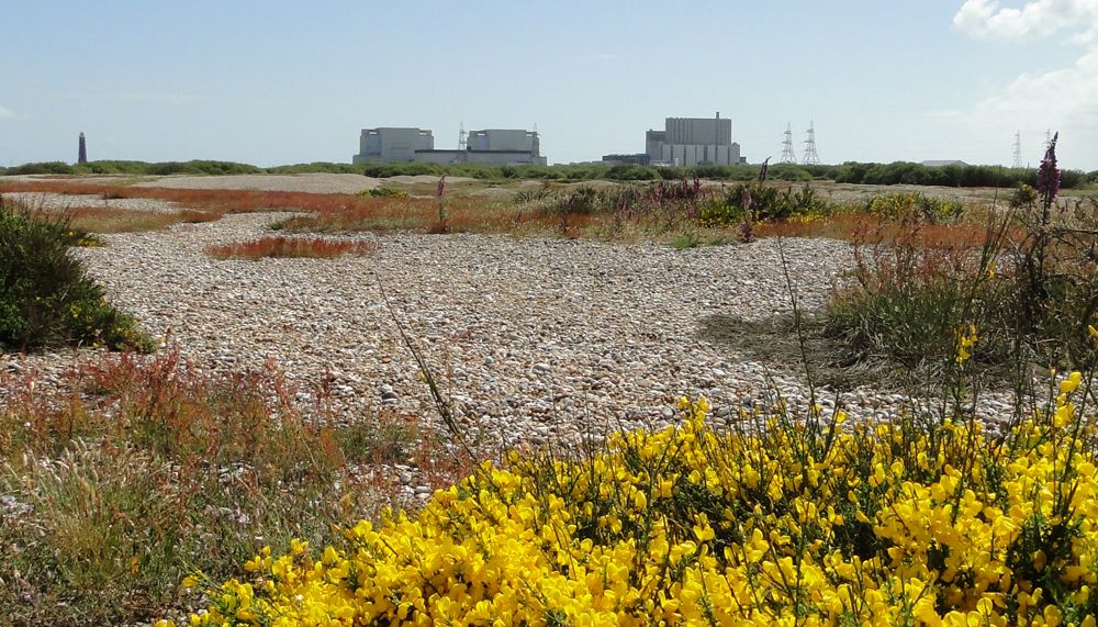 UK’s nuclear demise, Oz solar-storage tech + MORE