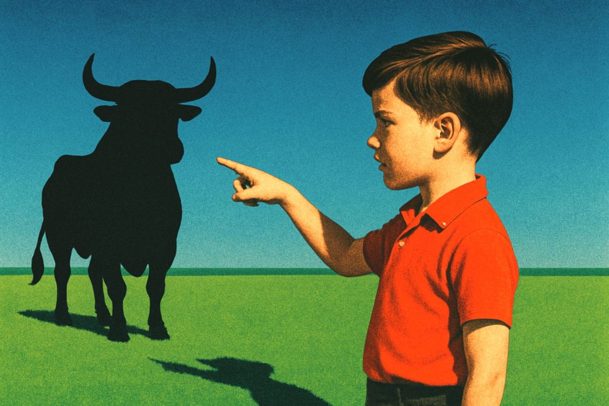 The boy who cried ‘bull’!