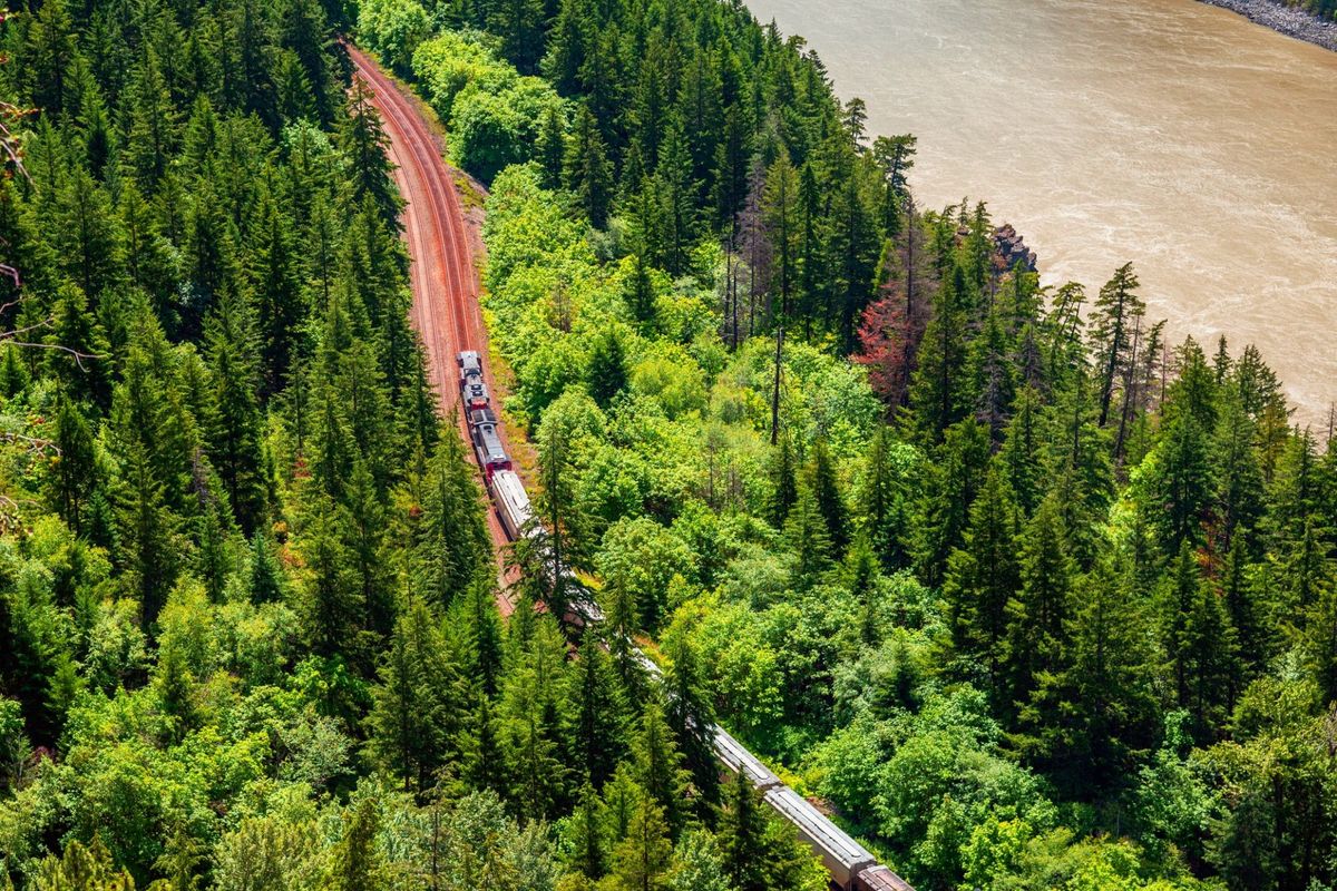 The Future of Vegetation Management