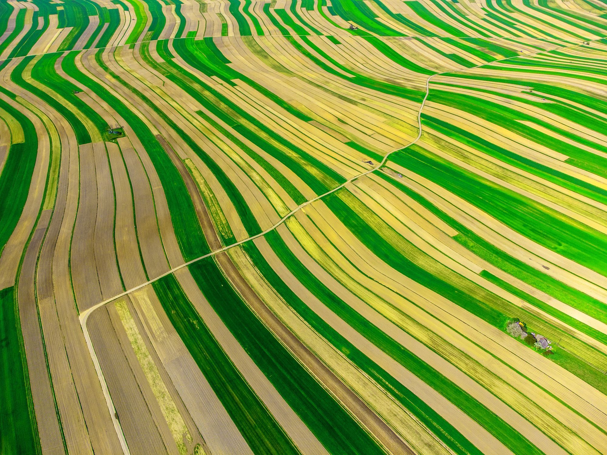 Woza's Geospatial Revolution: Greening Agriculture with Google.