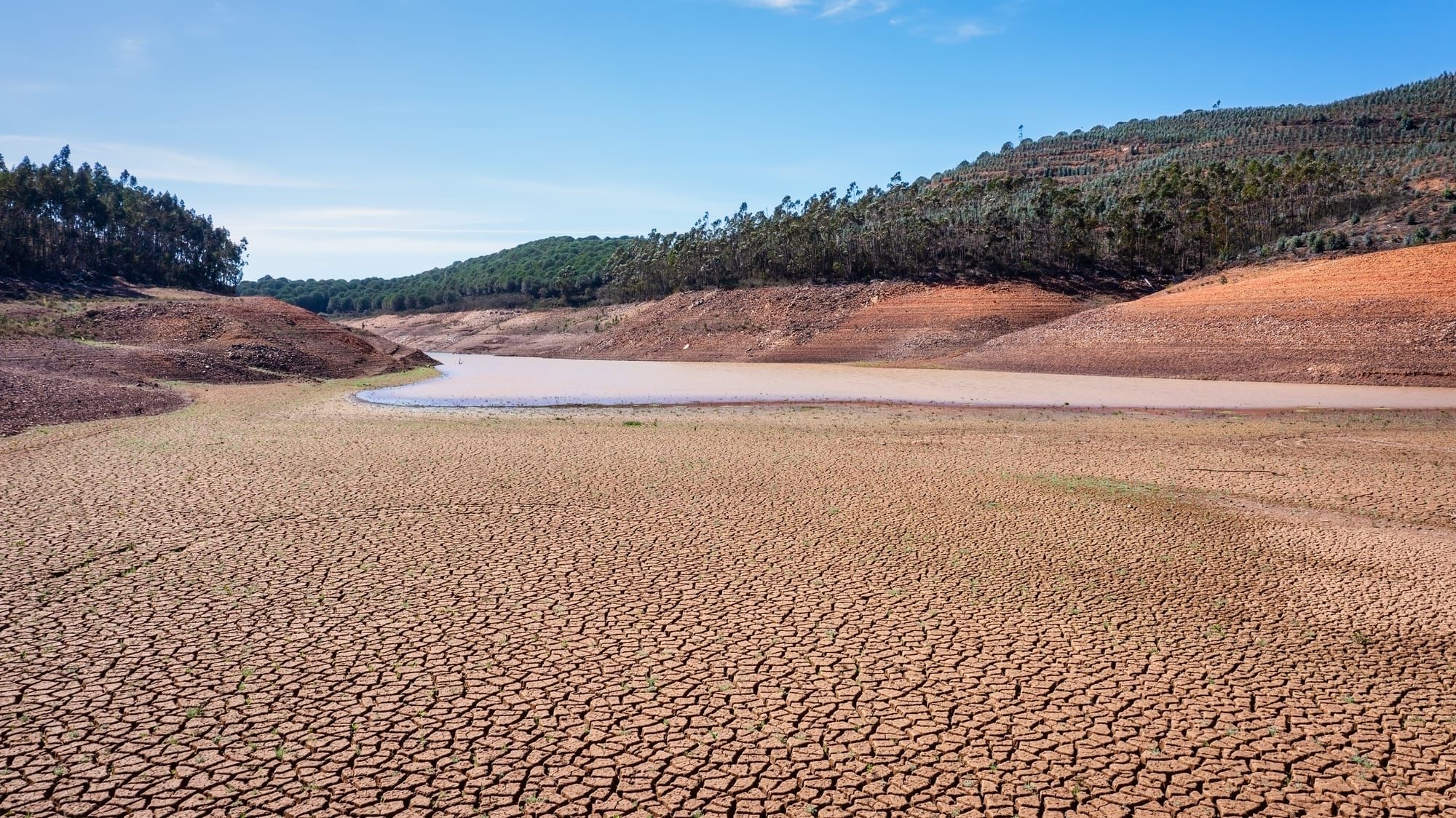 Governing Climate Risk