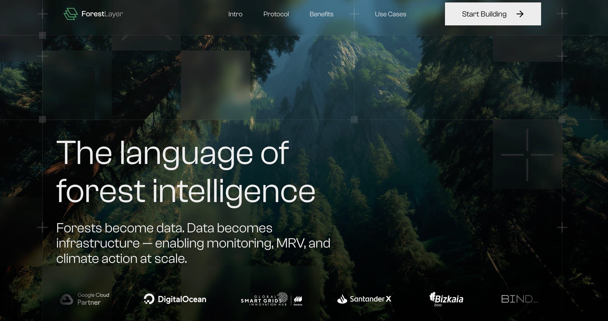 ForestLayer: a geospatial activity schema for forests